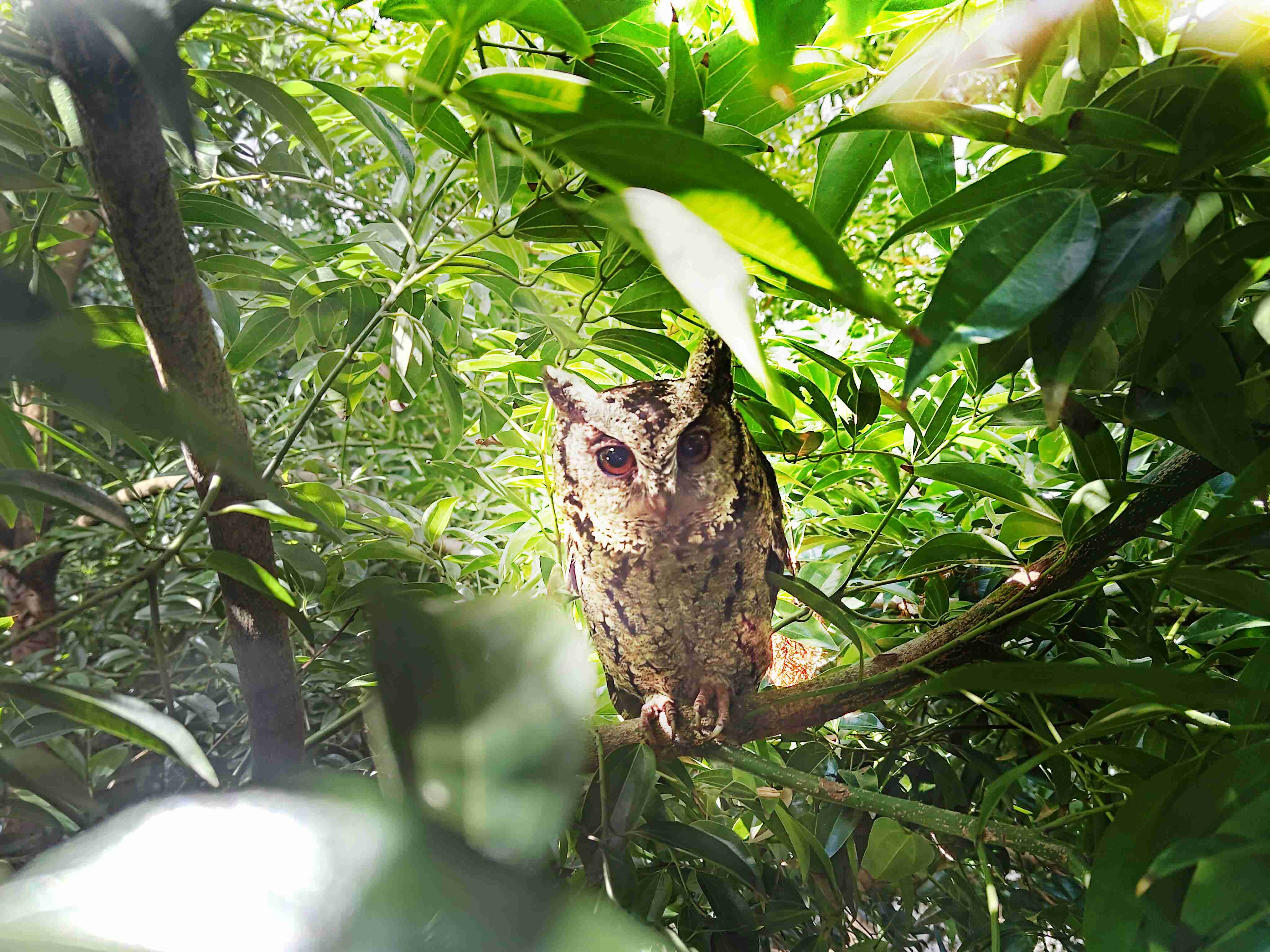 尊时凯龙致力提倡净零绿生活，，，，16年以来在全球各厂区植树逾百万棵，，，造就各厂区树木蔚然成林，，犹如森林工厂，，成为许多生物的栖息地
